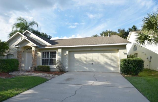7119 COLONIAL LAKE DRIVE - 7119 Colonial Lake Drive, Riverview, FL 33578