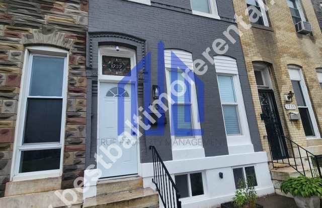 Spacious 3 Bedroom in East Baltimore photos photos