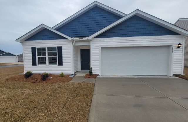 Welcome to our brand new 4-bedroom, 2-bathroom home located in the charming community of Castle Hayne, NC. photos photos