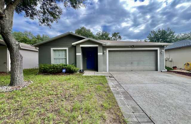 13941 Fareham Rd - 13941 Fareham Road, Odessa, FL 33556