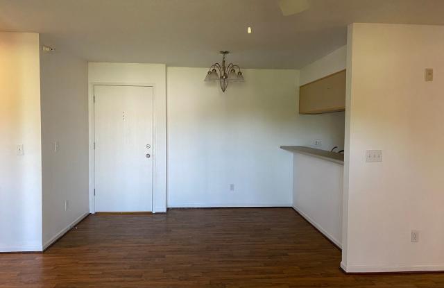 101 NW 8th St #207 Gallery 3