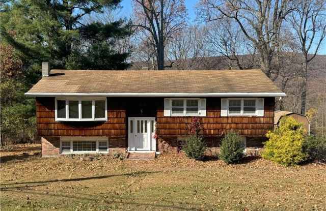 241 Skyline Drive - 241 Skyline Drive, Woodbury, NY 10930