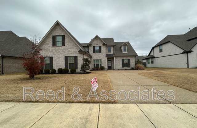 12538 Caymus Ln photos photos