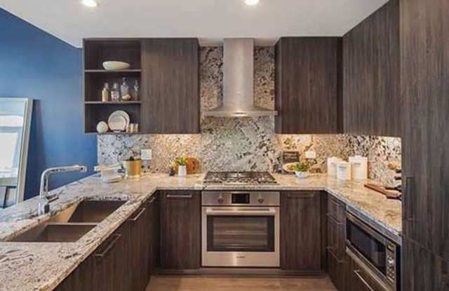 700 North Hudson Avenue - 700 North Hudson Avenue, Chicago, IL 60610