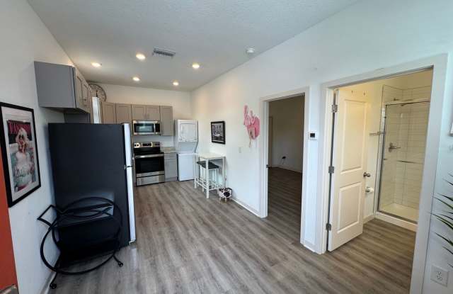 Cozy one bedroom apartment near downtown St. Petersburg Gallery 4
