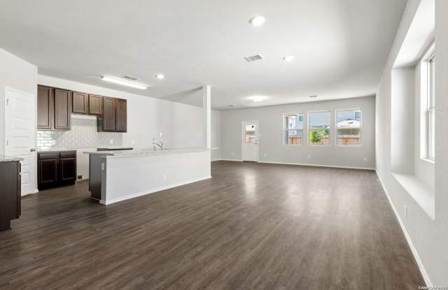 2434 Dry Moss Gallery 4