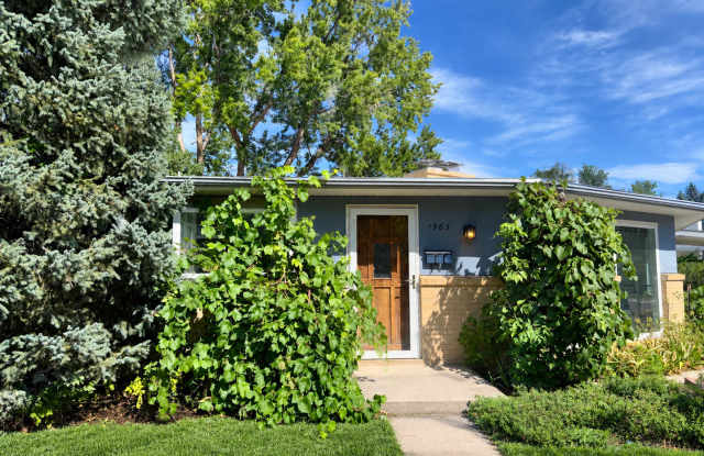 Grape Vines on Grape Ave: 3 bed/2 bath ranch in AMAZING location in Old North Boulder! Gallery 1