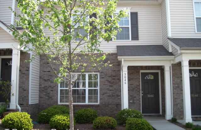 3046 Summerfield Ridge Lane - 3046 Summerfield Ridge Lane, Charlotte, NC 28105