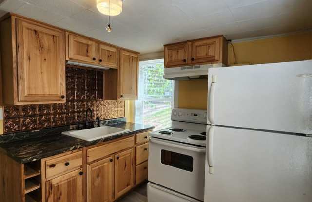 Asheville Duplex- Lower Level Gallery 3