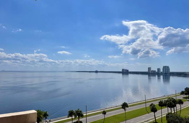 2401 Bayshore Boulevard photos photos