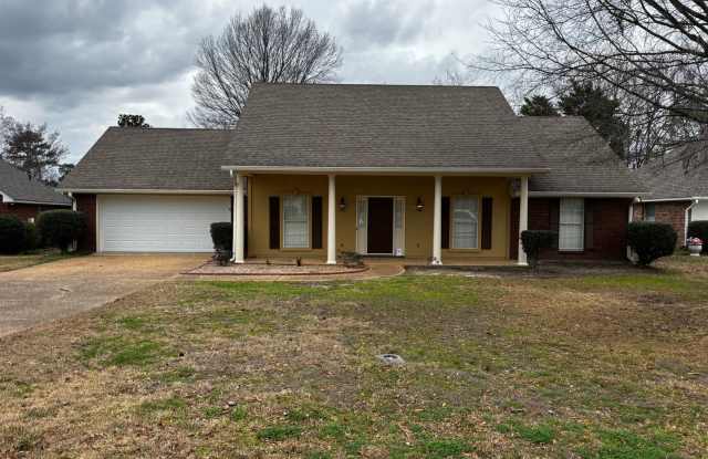 538 Brighton Circle Brandon, MS photos photos