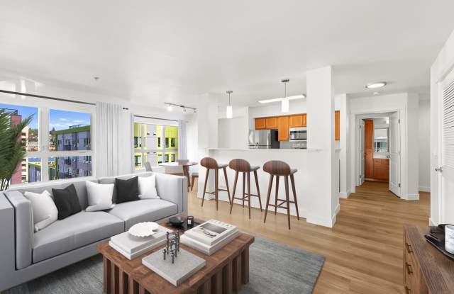 Dexter Lake Union Gallery 2