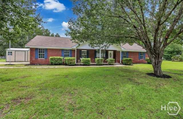 137 Pat Priester Drive NE - 137 Pat Priester Drive, Long County, GA 31316