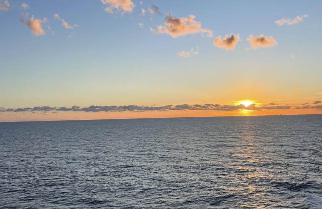 1888 Martha Lane - 1888 Martha Lane Northeast, Arab, AL 35016