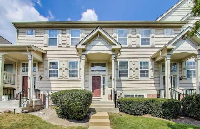 985 Manchester Circle - 985 Manchester Circle, Grayslake, IL 60030