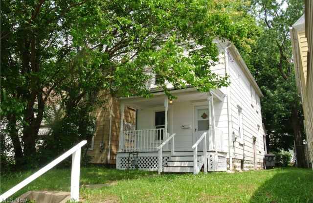 849 Grant Street - 849 Grant Street, Akron, OH 44311