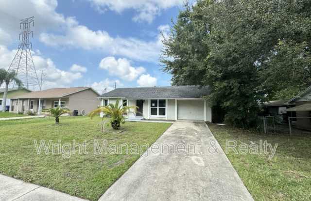 3107 Carlsbad Street - 3107 Carlsbad Street, Pasco County, FL 34655