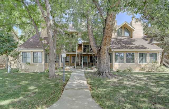 Top Floor FURNISHED 1 Bed/Office/Loft in Powderhorn photos photos