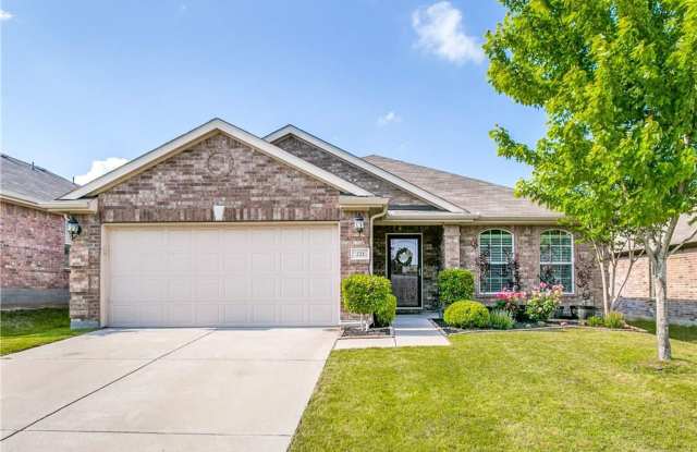 221 Creekwood Princeton, TX 75047 Gallery 1