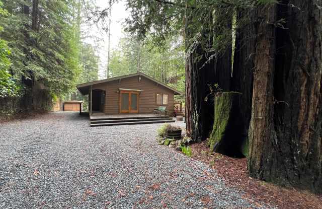 1,192 Square Foot 3 bedroom, 2 bath private home on 1 acre, washer, dryer, storage Gallery 3