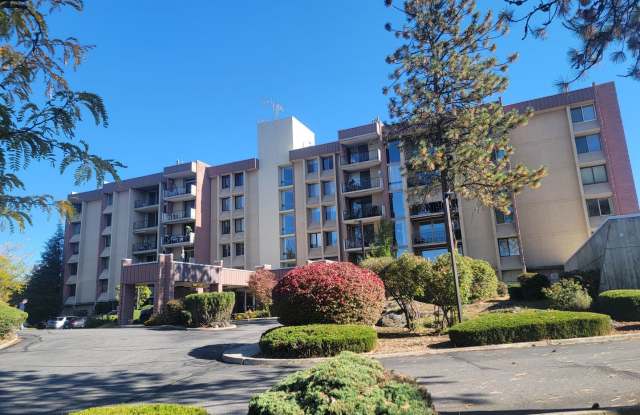 1 Bedroom Condo In Secure Access Building - Pet Friendly - 1311 South Westcliff Place, Spokane, WA 99224 1 Bedroom Condo In Secure Access Building - Pet Friendly - 1311 South Westcliff Place, Spokane, WA 99224