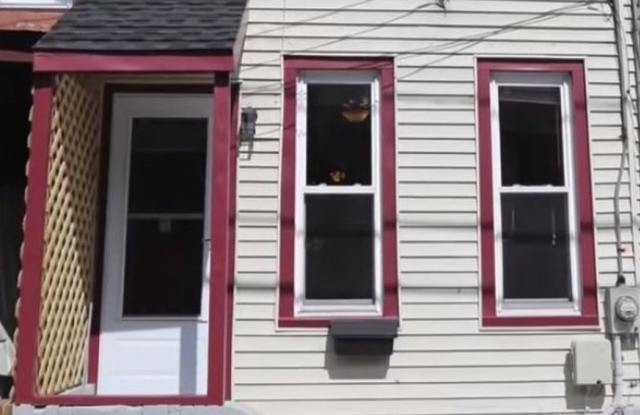 Great Home! Recently Renovated! Granite Counters! Wood Floors! Full Basement! - 1209 Chestnut Avenue, Trenton, NJ 08611
