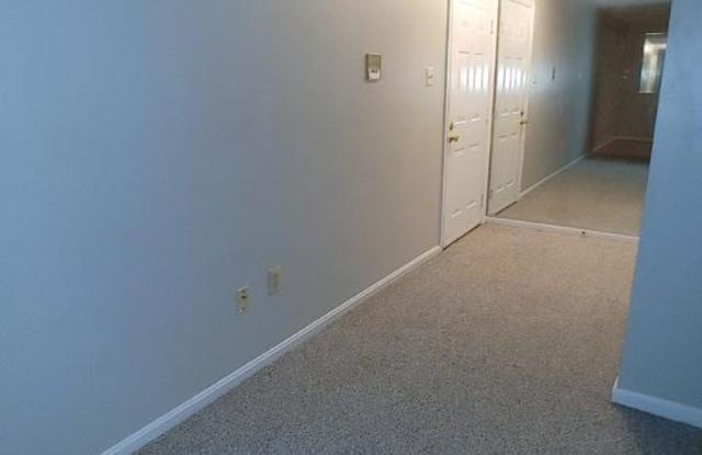 205 Star Pointe Ct Gallery 4