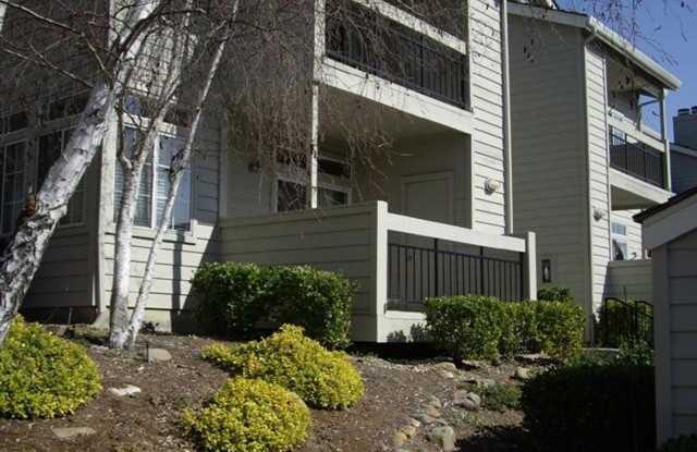 8055 Mountain View Drive Unit #E Gallery 2