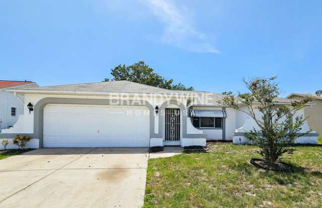18805 Green Park Road - 18805 Green Park Road, Pasco County, FL 34667