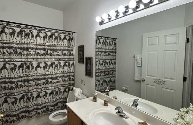 2548 Aster Cove Lane Gallery 4