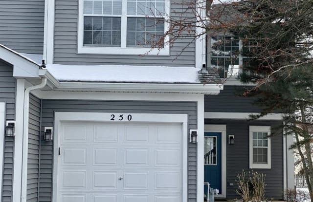 250 Mill Street - 250 Mill Street, Batavia, IL 60510