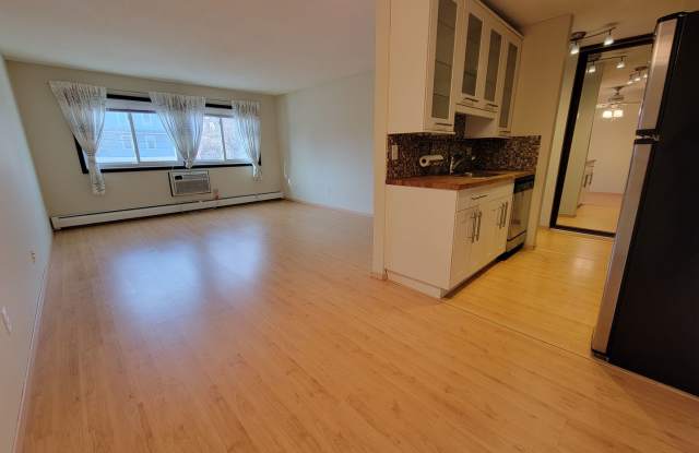 Newly Updated 1 Br/1 Ba Condo w/Hdwd Flrs, SS Appl, AC, Off-St Parking in Uptown Mpls near Wedge Co-op! photos photos