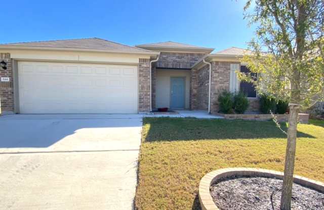 844 Nodding Nixie photos photos