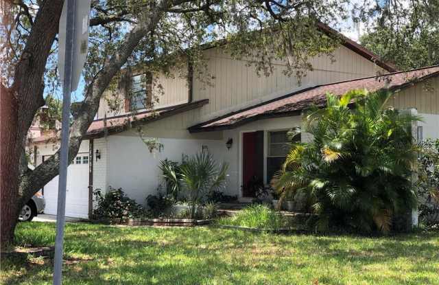 14706 CACTUS WREN PLACE - 14706 Cactus Wren Place, Northdale, FL 33625