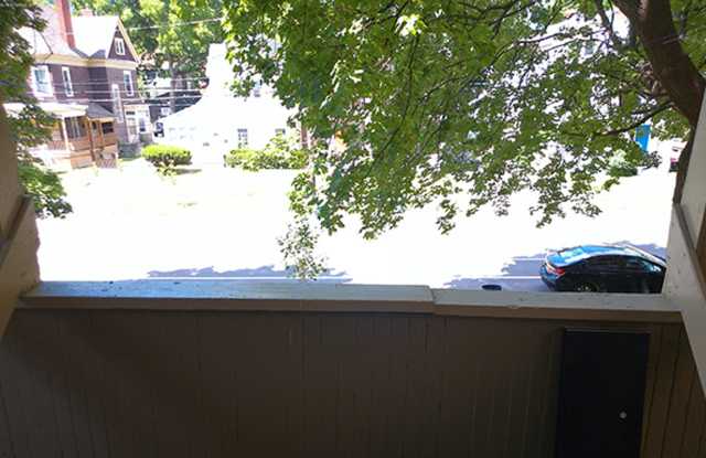 718 Euclid Ave - Available 7/1/27 - Bright and Spacious Apartment Close to Campus Gallery 3