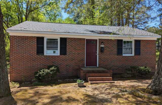 313 Church St - 313 Church Street, Emporia, VA 23847
