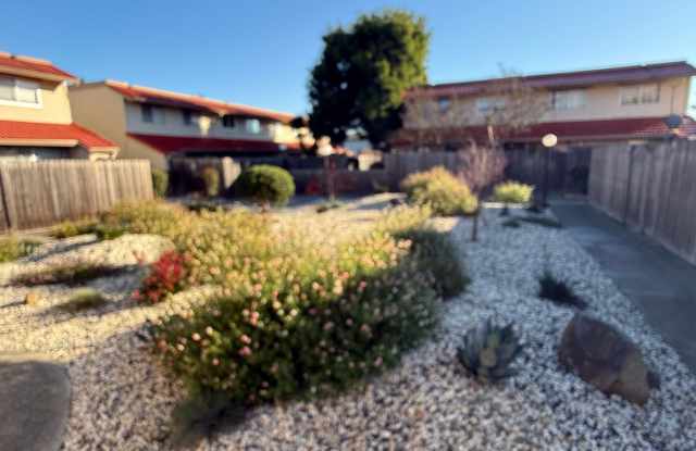 OPEN HOUSE SATURDAY 1/31/26 3PM-4PM - Welcome Home to 79 Avram Rohnert Park - Just Minutes to SSU photos photos