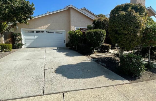 978 Jungfrau Ct. - 978 Jungfrau Court, Milpitas, CA 95035