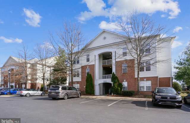 22641 BLUE ELDER TERRACE - 22641 Blue Elder Terrace, Brambleton, VA 20148