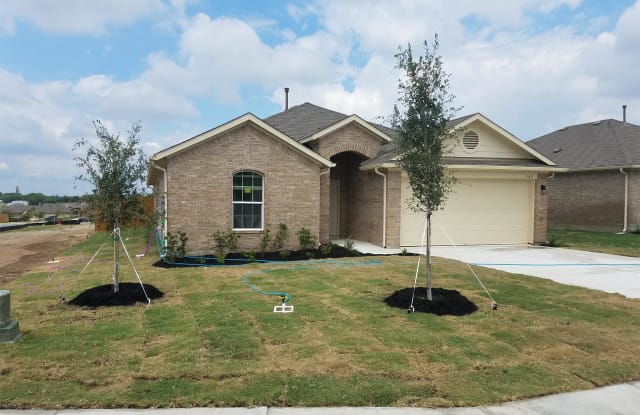 165 Dusky Thrush Dr. - 165 Dusky Thrush Dr, Kyle, TX 78640