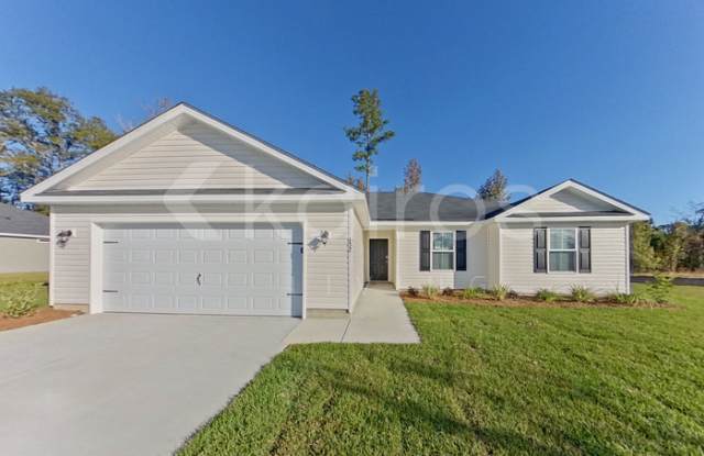 132 Western Red Cedar Drive - 132 Western Red Cedar Drive, Effingham County, GA 31329