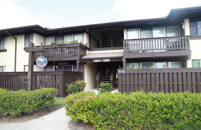 50 Palm Ln photos photos