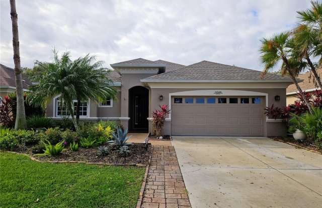12538 CARA CARA Loop photos photos