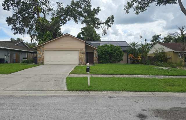 Solar Energy 3/2 Home in Riverview, FL. photos photos
