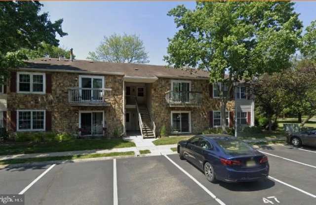 44 CORAL TREE photos photos