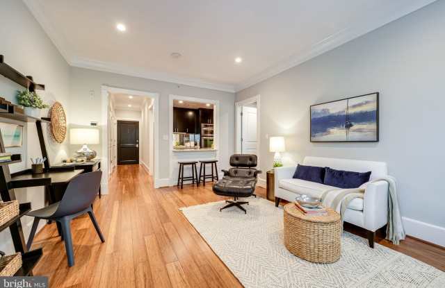 910 POWHATAN Street unit: 205S photos photos