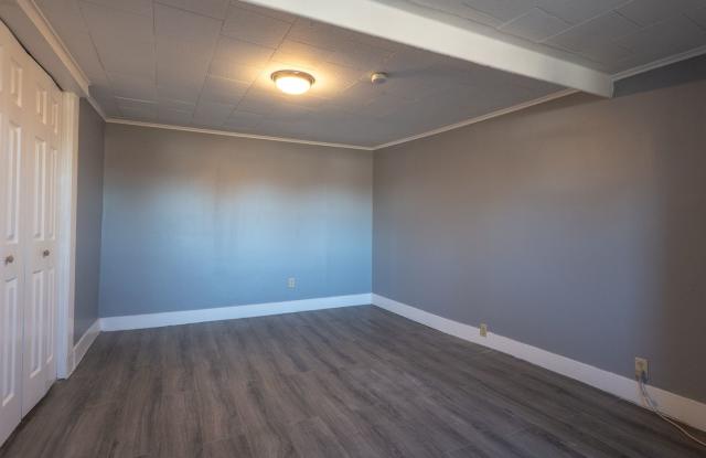 Spacious 1-Bedroom Apartment with Parking  Shared Yard - Midtown Kingston photos photos