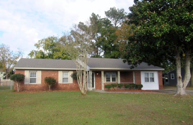 17 Walnut Drive - 17 Walnut Drive, Piney Green, NC 28546