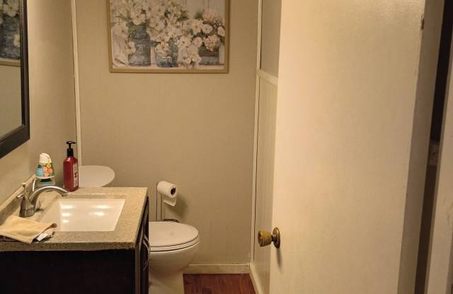 3903 Rocky Branch Road Gallery 4