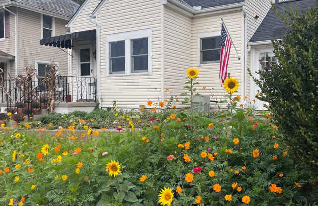 3 Bedroom, 2 Bathroom House for Rent photos photos